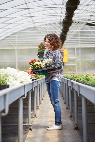 Bella giovane donna giardinaggio — Foto Stock