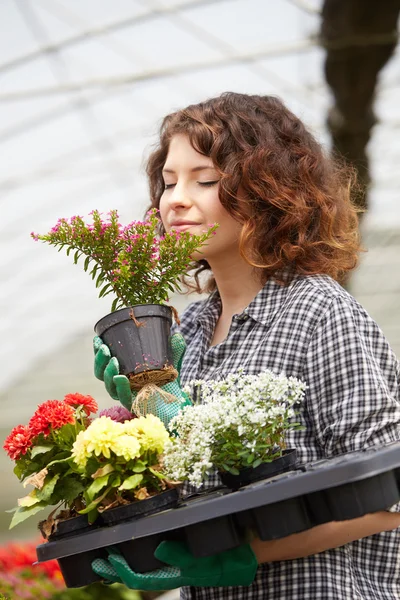 Bella giovane donna giardinaggio — Foto Stock