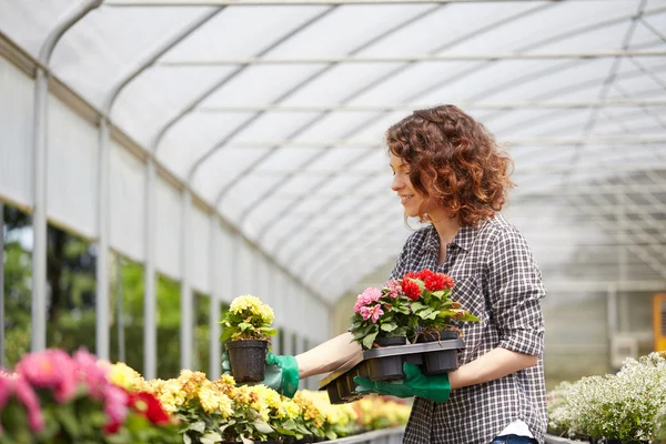 Bella giovane donna giardinaggio — Foto Stock