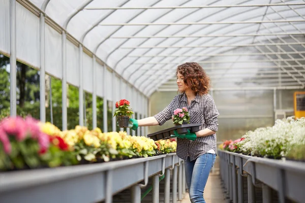 Bella giovane donna giardinaggio — Foto Stock