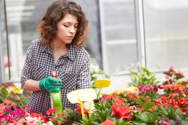 Bella giovane donna giardinaggio — Foto Stock