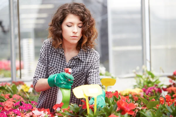 Bella giovane donna giardinaggio — Foto Stock