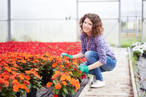 Jovem senhora trabalhando em um viveiro de plantas — Fotografia de Stock