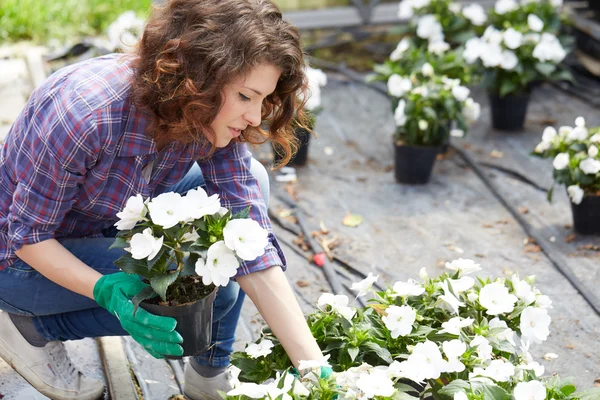 Jovencita trabajando en un vivero de plantas — Foto de Stock