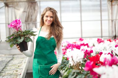 perakende olarak çalışan genç çiçekçi