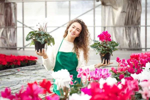 Floristería trabajando en venta al por menor — Foto de Stock