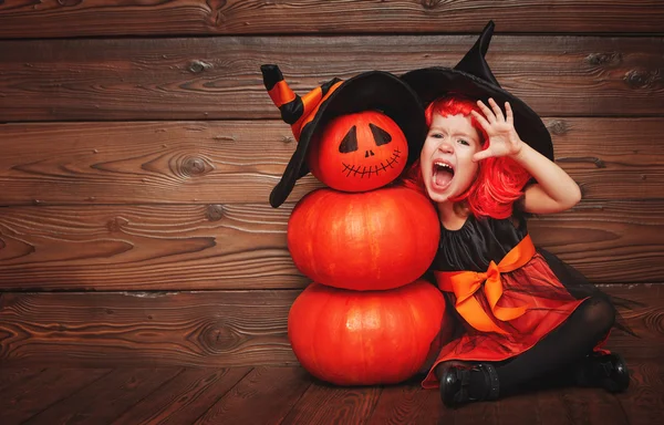 Divertente bambina in costume da strega per Halloween con zucca Ja — Foto Stock