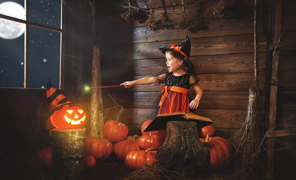Halloween. barn häxa lite med trollstav, pumpa Jack mag — Stockfoto