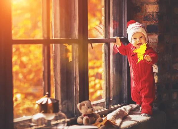 Happy baby boy   about autumn window Stock Picture