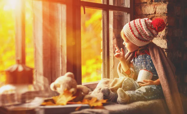 Baby girl with cup tea looking through window at nature autumn — стоковое фото