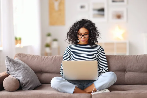 Inteligente Jovem Mulher Étnica Óculos Sentado Sofá Fazendo Projeto Freelance — Fotografia de Stock