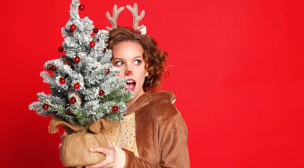 Surprised Young Female Reindeer Costume Carrying Potted Coniferous Tree Looking — Stock Photo, Image