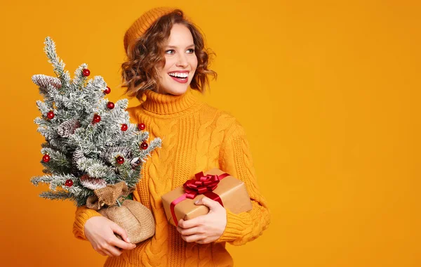 Olumlu Genç Bir Kadın Hediye Paketi Süslü Kozalaklı Ağaçla Noel — Stok fotoğraf
