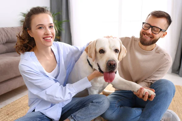 Happy Married Couple Playing Favorite Pet Dog Labrador Home — Stock Photo, Image