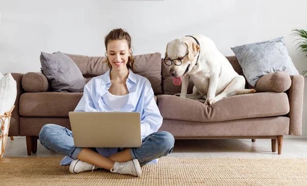 Full body of smiling young female owner using laptop and funny Labrador retriever dog in similar eyeglasses watching with interest at screen while spending time together at home