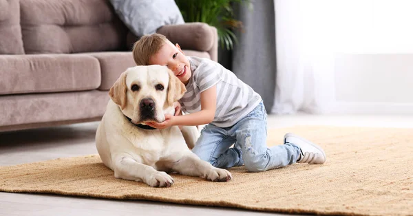 Celé Tělo Usmívajícího Chlapečka Objímajícího Rozkošného Čistokrevného Labradorského Retrívra Zatímco — Stock fotografie