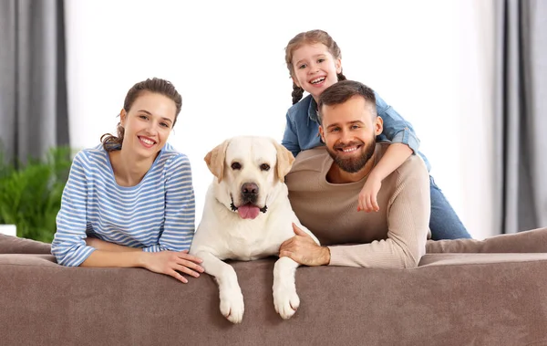 带着小女儿和可爱的纯种拉布拉多猎犬笑着 坐在沙发上看着摄像机 同时在家里呆着 — 图库照片