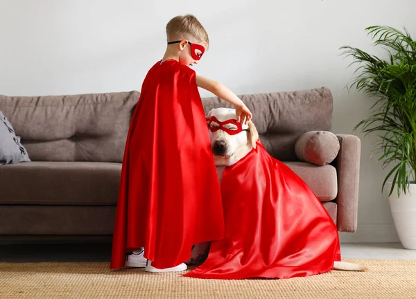 Kırmızı süper kahraman pelerinleri ve gözlükleriyle evde oynayan küçük çocuk ve şirin Labrador av köpeği.