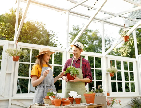 Gelukkig Paar Man Vrouw Glimlachen Planten Spruitjes Terwijl Staan Buurt — Stockfoto