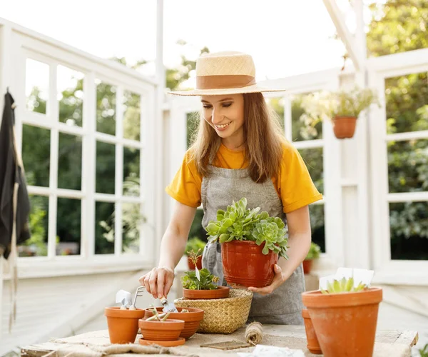 幸せな女性の庭師は笑顔で 庭の夏の日に軽いオレンジで鉢植えの植物の世話をします — ストック写真