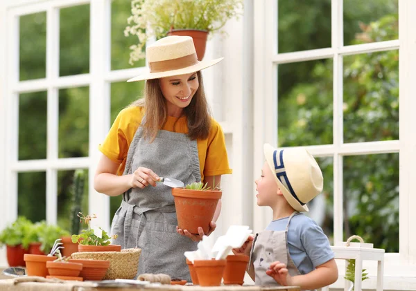 Mulher Positiva Avental Chapéu Que Mostram Planta Potted Menino Jardinar — Fotografia de Stock