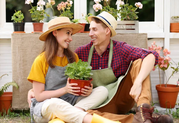 Plein Corps Heureux Jardiniers Masculins Féminins Avec Plante Pot Embrassant — Photo