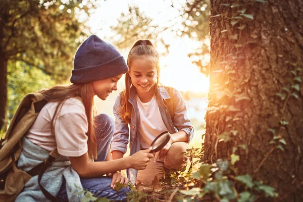 Duas Meninas Chapéus Quentes Com Mochilas Olhando Examinando Casca Árvore — Fotografia de Stock