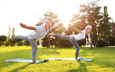 Pigeon 'da spor giyimli yaşlı kadın ve erkek parkta yeşil çimlerde poz veriyor. Olumlu üst düzey çift açık havada partnerlik yogası yapıyor. Meditasyon ve sağlık hizmeti kavramı