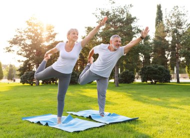 Güzel, aktif, fit, yaşlı aile yogası yapıyor. Dışarıda, doğada, kauçuk minderin üzerinde durmuş dans ederken gülümsüyor, yaşlı adam ve kadın parkta yeşil çimlerde çalışıyor.