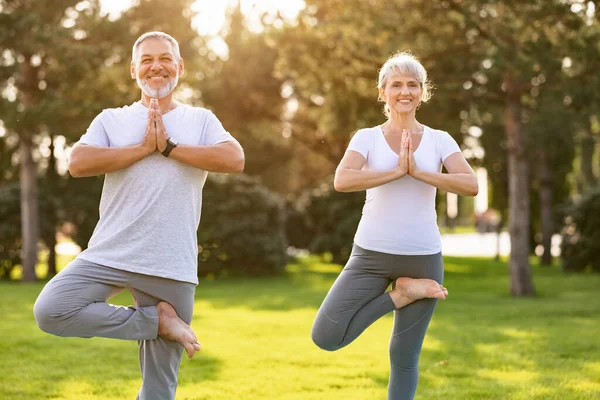 Positief Senior Paar Uitvoeren Van Yoga Het Gazon Het Park — Stockfoto