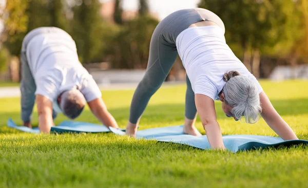 Yaşlı Bir Aile Fotoğrafı Yaşlı Bir Çift Dışarıda Yoga Yapıyor — Stok fotoğraf