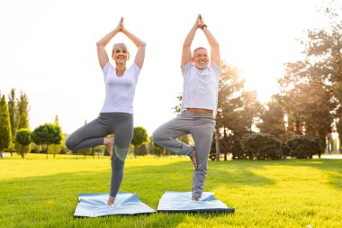 Ağaç Vrksasana pozunda parktaki yeşil çimlerde eşli yoga egzersizleri yapan gülümseyen son sınıf aile çifti, açık havada spor yapan olgun erkek ve kadın. Ruh sağlığı konsepti