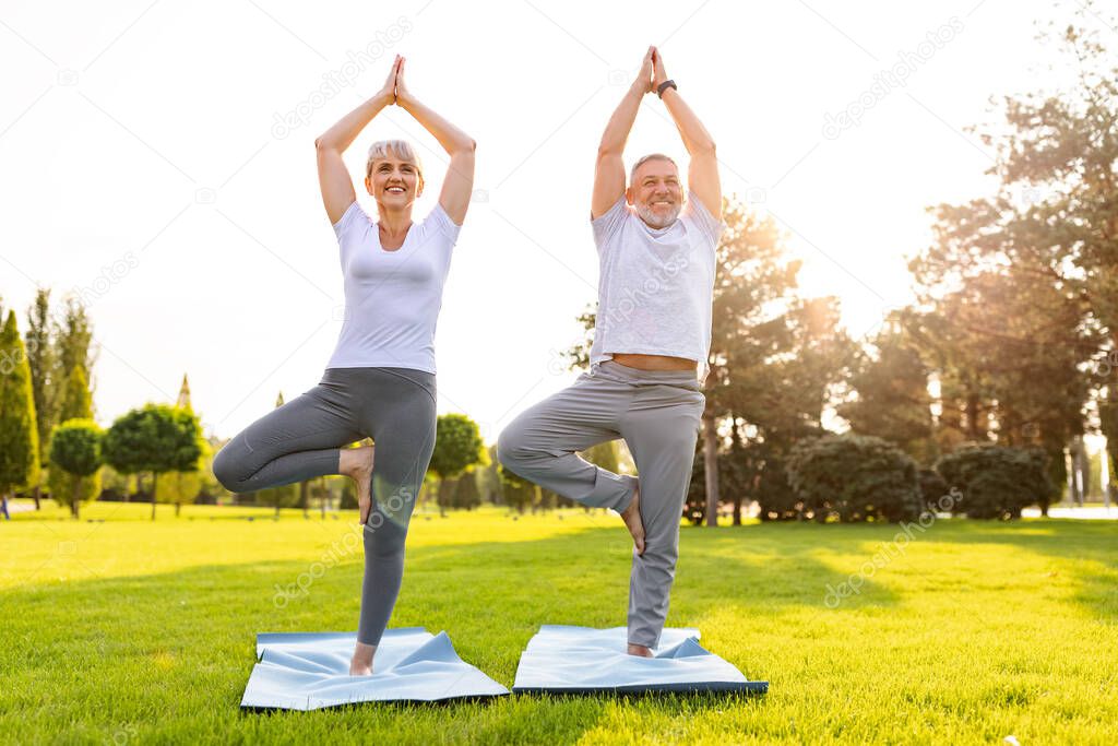 Smiling senior family couple doing partner yoga exercises on green lawn in park standing in Tree Vrksasana pose, positive mature man and woman working out on open air. Mental health concept