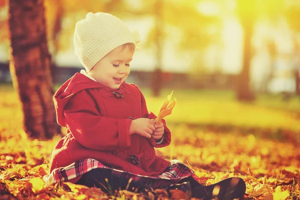 Criança pequena feliz, bebê menina rindo e brincando no outono — Fotografia de Stock