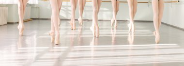 legs of dancers ballerinas in class classical dance, ballet clipart