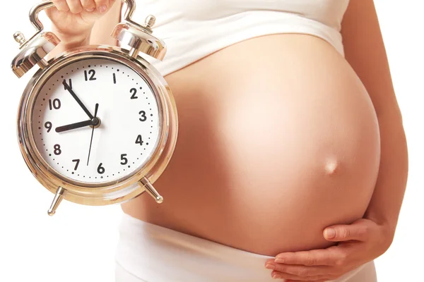 Concept of pregnancy. belly tummy of pregnant woman and alarm cl Royalty Free Stock Photos
