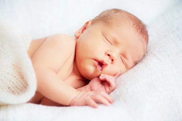 Bonito recém-nascido bebê dorme — Fotografia de Stock