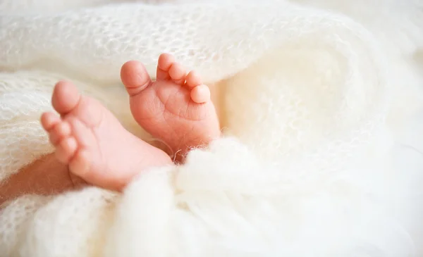 Pé perna bebê recém-nascido — Fotografia de Stock