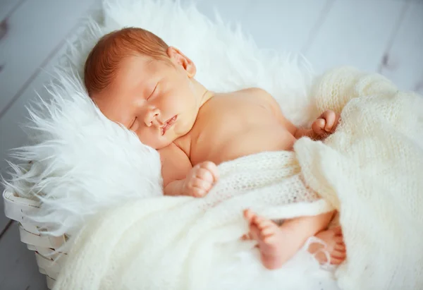 Cute newborn baby sleeps in basket — Stock Photo, Image