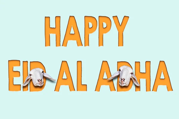 Овцы Животных Через Алфавит Счастливой Эйд Аль Адха Концепции Мусульманский — стоковое фото