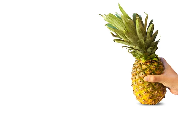 Zbliżenie Samica Trzymać Rękach Świeże Dojrzałe Owoce Ananasowe Prawidłowe Odżywianie — Zdjęcie stockowe
