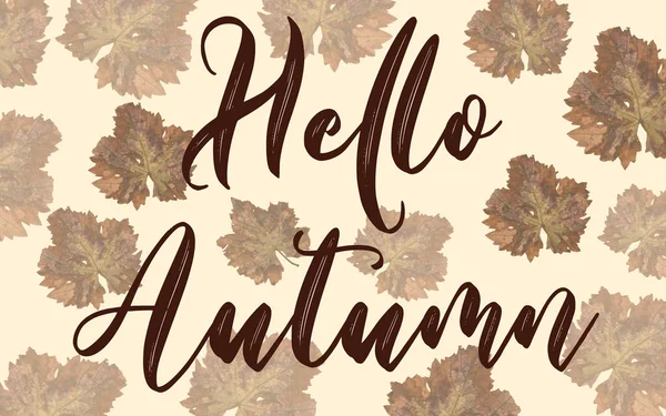 Hello Autumn Concept Leaves Background — Stock Photo, Image