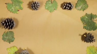 Güz Yaprakları ve Çam kozalakları Arasında Ellerin Tuttuğu Kahverengi Kağıda Sarılı Hediye