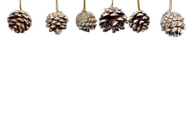 Kış Tatili Dekorasyonu için Beyaz Stüdyo Arkaplanında Çam Kozalakları Asılıyor