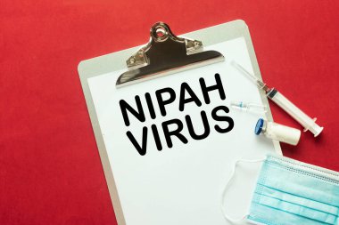 Nipah Virüs Bilinci Pano Resmi Şırınga, Aşı Şişesi ve Kırmızı Arkaplanda Yüz Maskesi