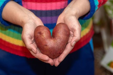 Kadın ellerinde kalp şeklinde çirkin bir patates var. Komik, çirkin sebzeler..