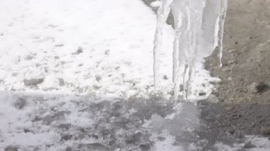 Üzerinden su damlayan buz sarkıtları