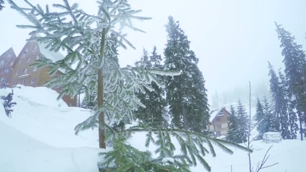 Sneeuwstorm in Bergen — Stockvideo