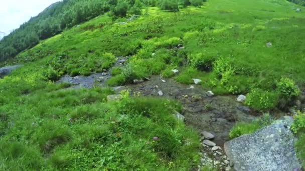 Гірський струмок в Грузії — стокове відео