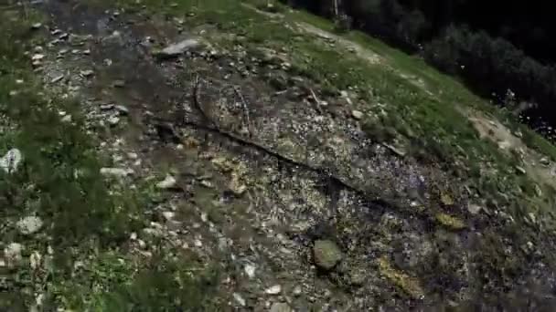 Cours d'eau de montagne en Géorgie — Video